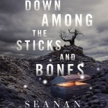 cover of Down Among the Sticks and Bones
