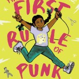 cover of The First Rule of Punk